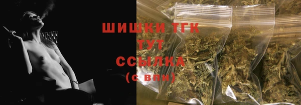 стафф Михайлов