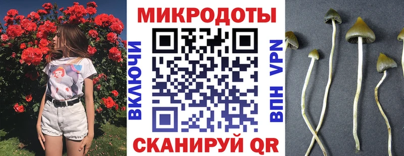Псилоцибиновые грибы MAGIC MUSHROOMS  hydra ссылки  Дзержинск  даркнет сайт 