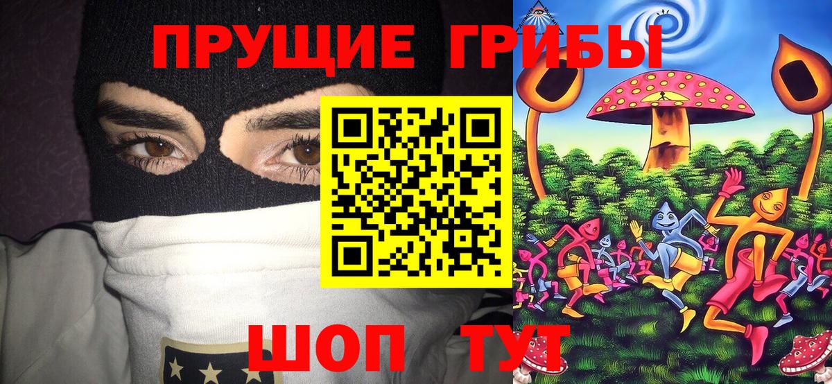 Галлюциногенные грибы мухоморы Дзержинск