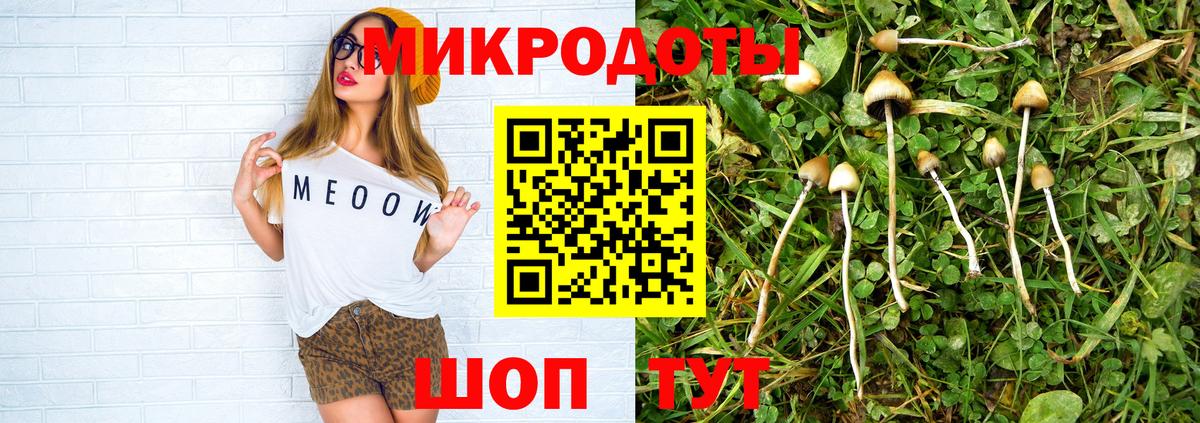 Дзержинск  Псилоцибиновые грибы Psilocybe  Вход с VPN 