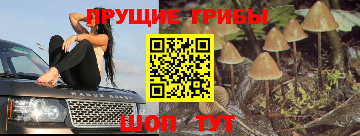 Галлюциногенные грибы MAGIC MUSHROOMS Дзержинск